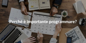 Perchè programme managment è importante