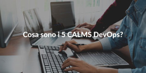 5 Calms DevOps
