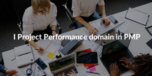 Project Performance Domain PMP