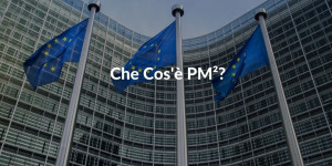 Che cos'è PM2