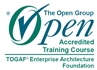 Togaf_enterprise architect